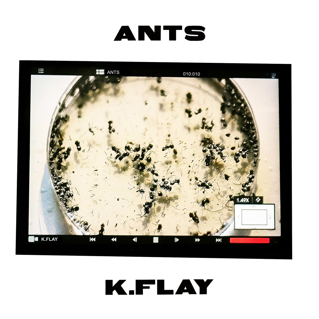 Watch American star K.Flay’s nostalgic video for ‘Ants’
